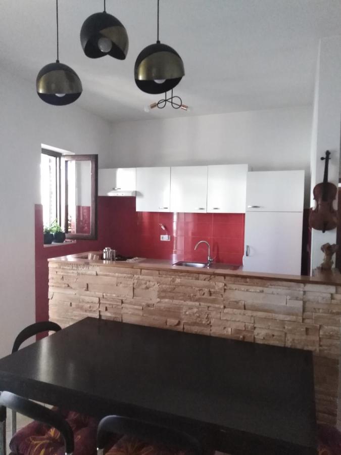 Apartman Irena With Terase End Private Parking Donji Okrug  Dış mekan fotoğraf